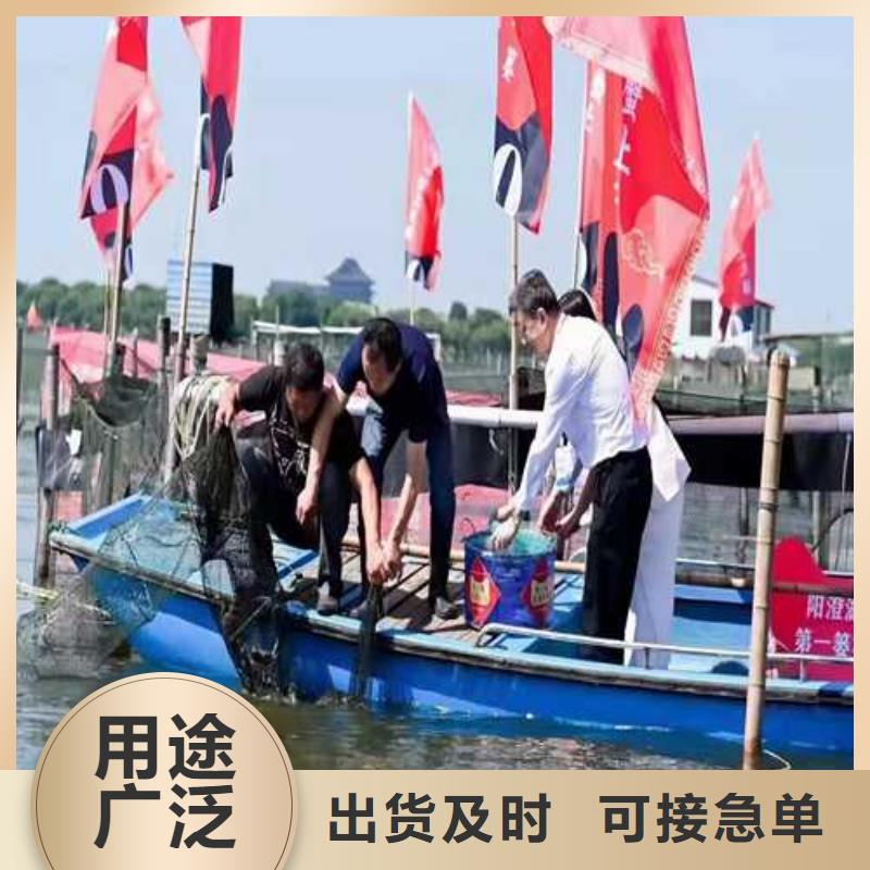 罗源县阳澄湖大闸蟹多少钱根据要求定制