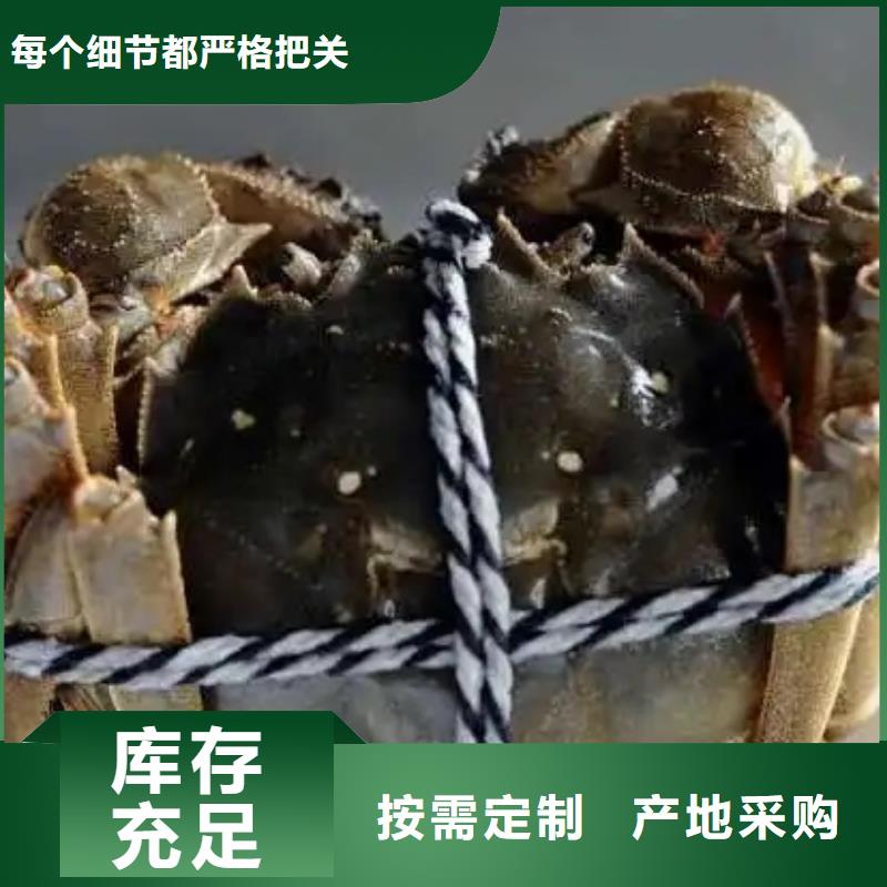 阳澄湖大闸蟹设备生产厂家严格把关质量放心