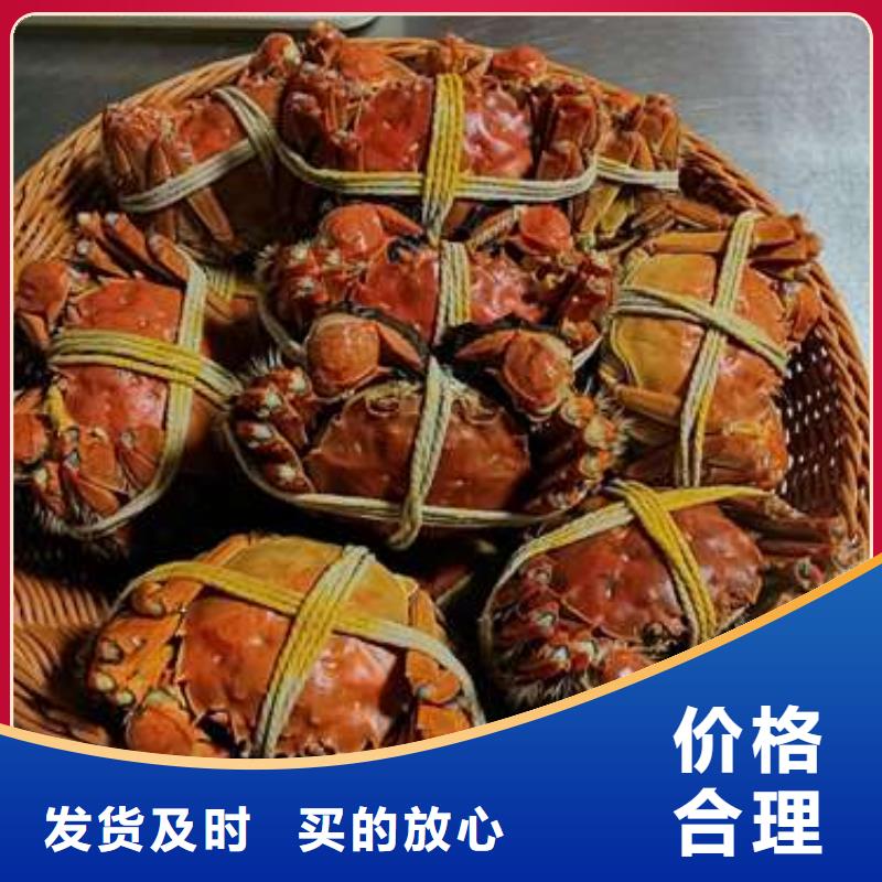 发货及时的阳澄湖大闸蟹销售厂家源厂直接供货