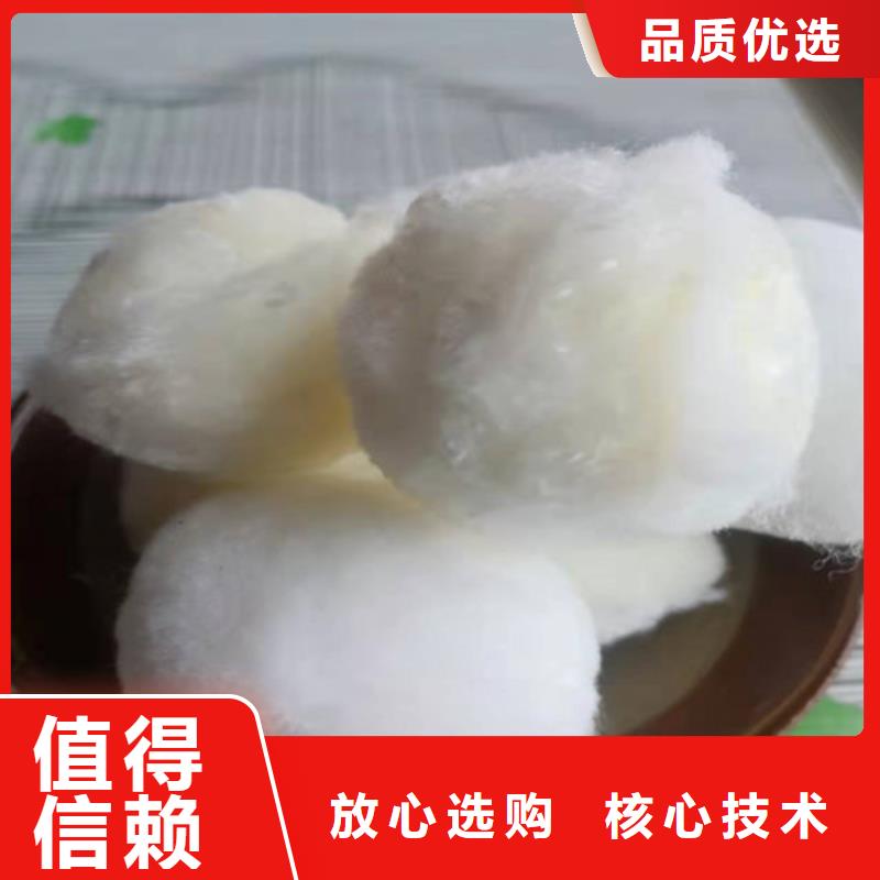 改性纤维球填料免费拿样货号2-101同城生产厂家