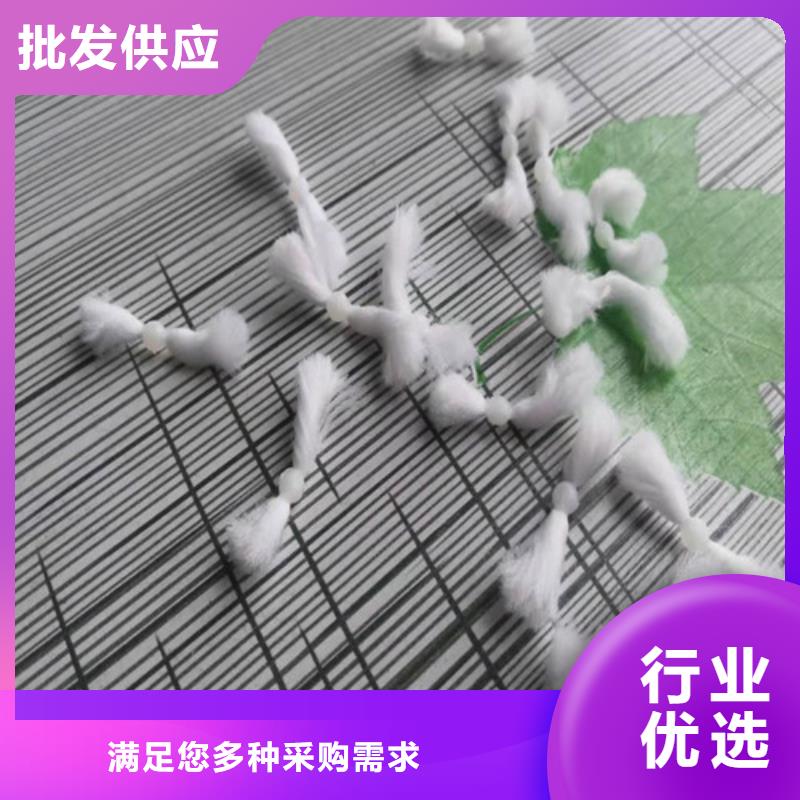 纤维球填料承诺守信货号2-101生产厂家