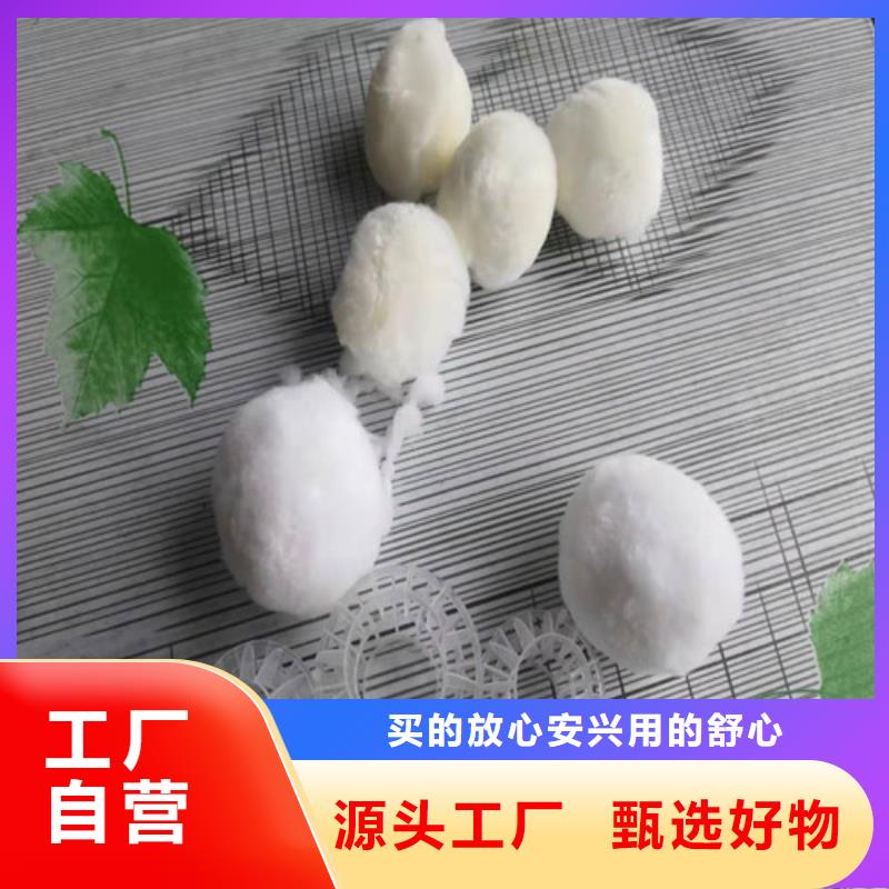 ​水处理填料_椰壳粉末活性炭价格有优势精选好货