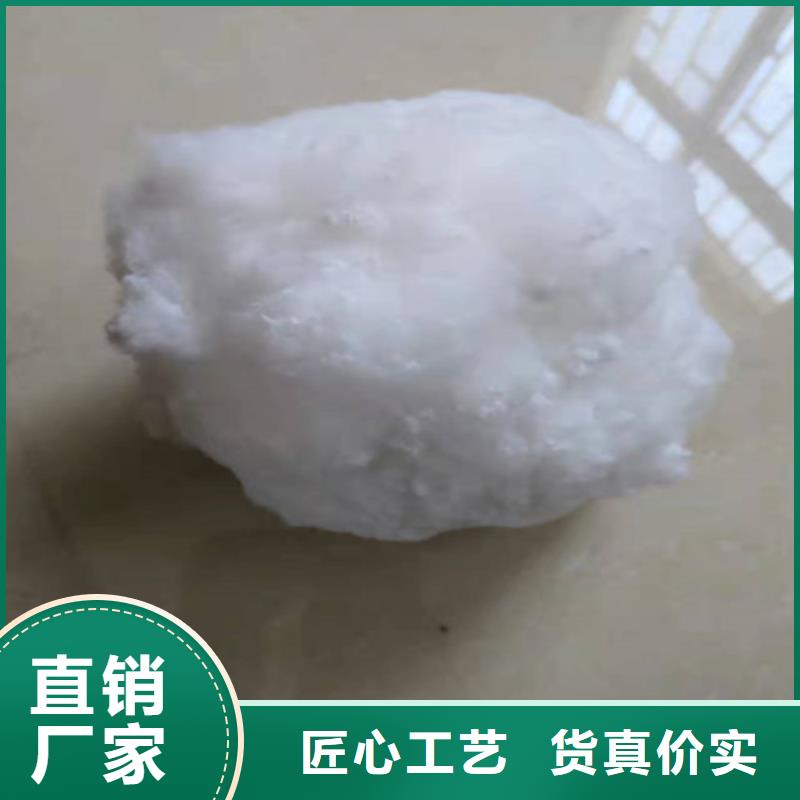 水处理填料柱状活性炭实力商家本地服务商