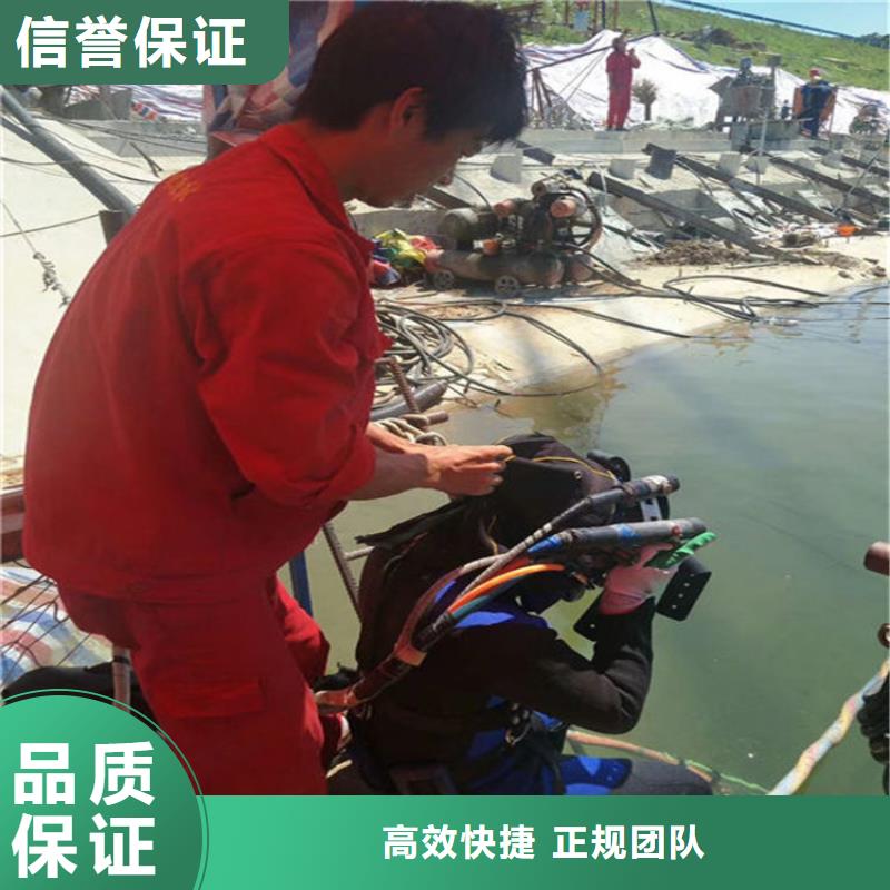 宜春蛙人封堵管道-本地服务公司本地货源