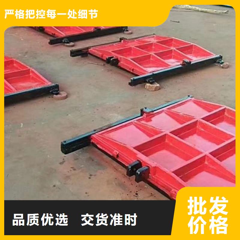 启闭机闸门p型止水带闸门水封-供应商价格厂家售后完善