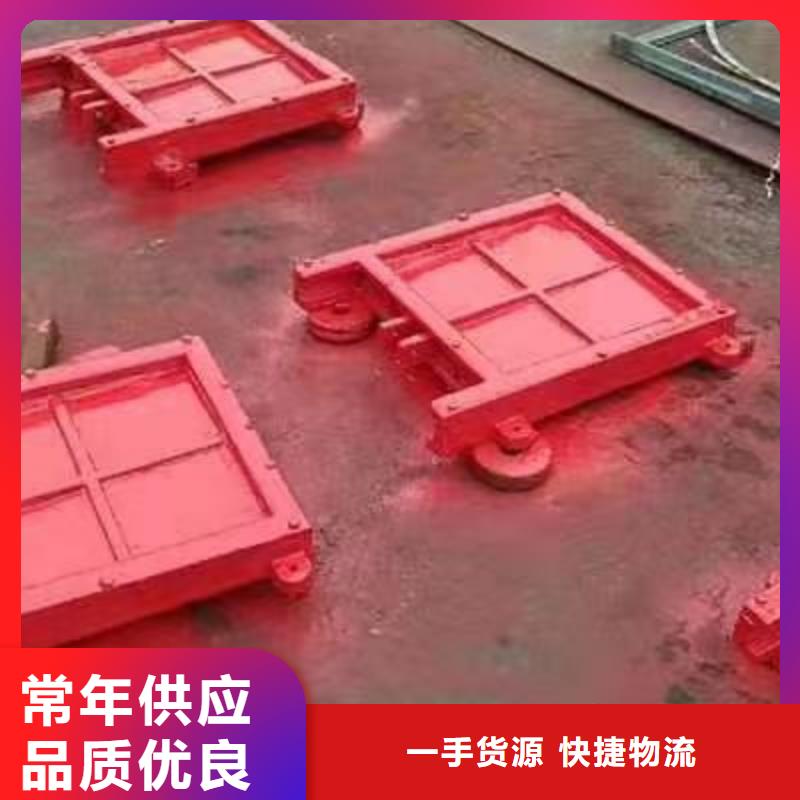 镶铜铸铁闸门-镶铜铸铁闸门直销本地公司