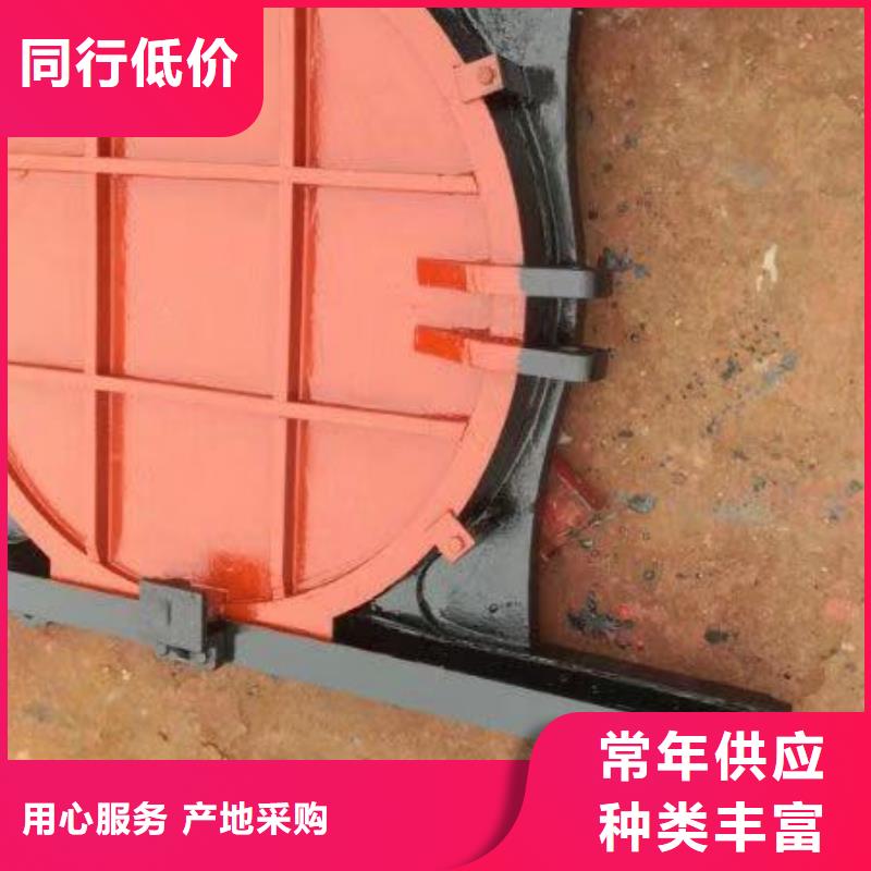 平面拱形闸门-机闸一体铸铁闸门一站式解决方案满足多种行业需求