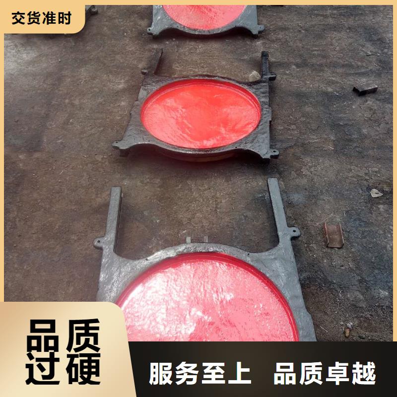 琼中县启闭机闸门-方形钢制闸门环保型本地制造商