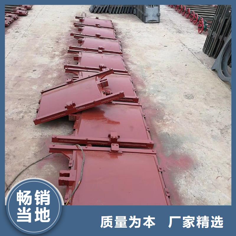启闭机闸门-闸门启闭器实力雄厚实力工厂