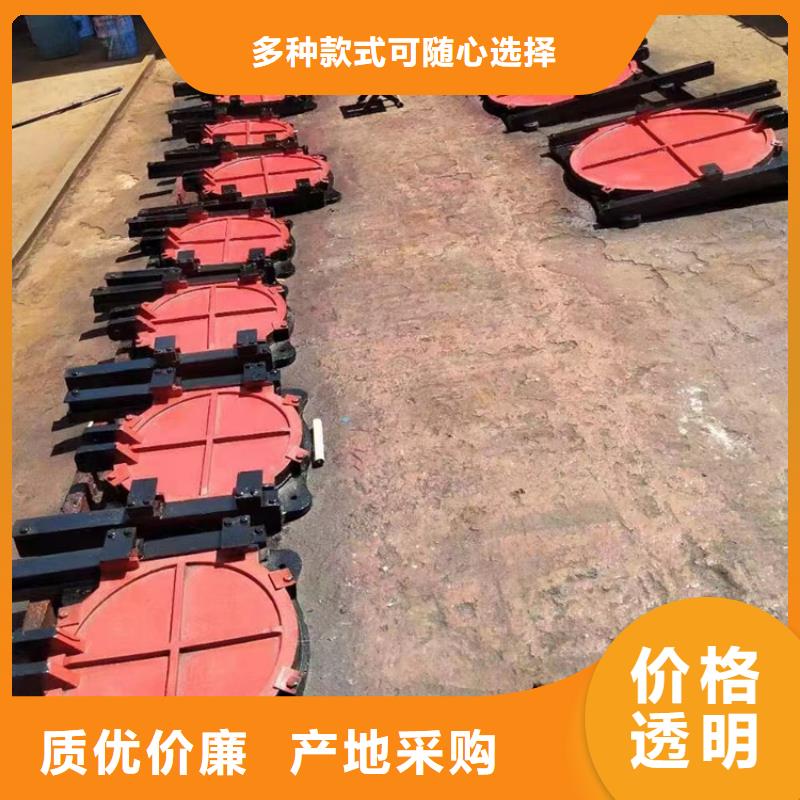 PZM型铸铁闸门[生产厂家价格]当地生产厂家