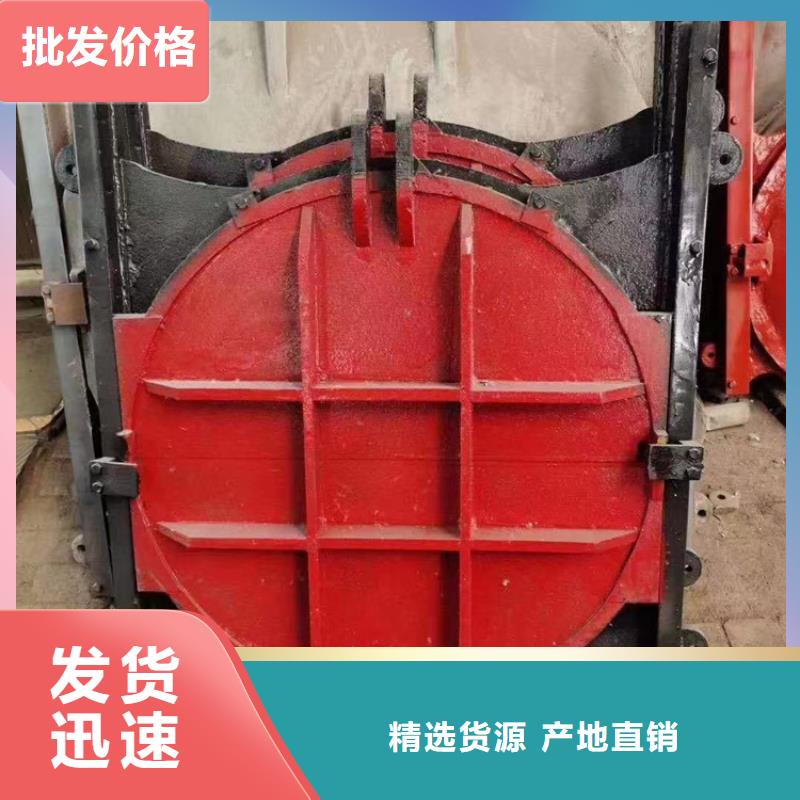 双向止水闸门_平面闸门带直联启闭机生产厂家销售价格当地经销商