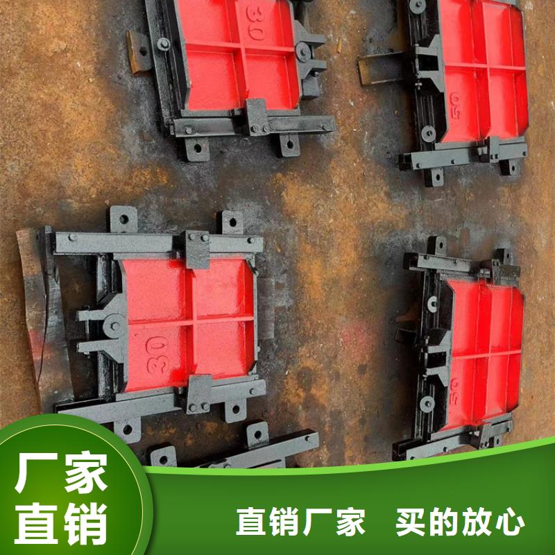 启闭机闸门-PZ双向止水铸铁镶铜闸门定制化当地生产商