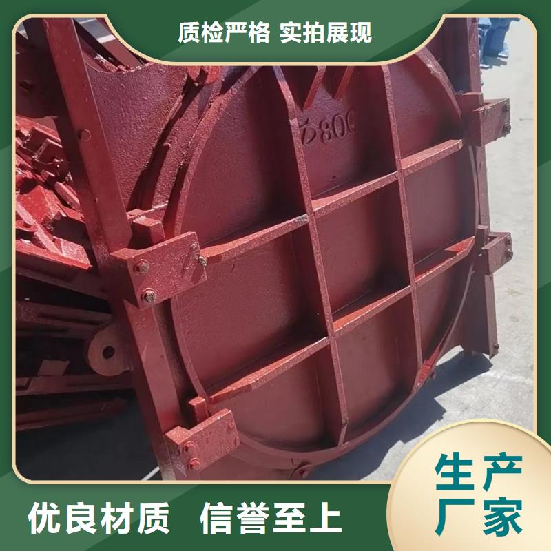 镶铜铸铁闸门[厂家销售]当地制造商