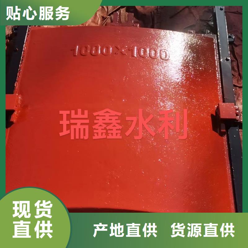 渠道闸门-水电站闸门快速响应本地货源