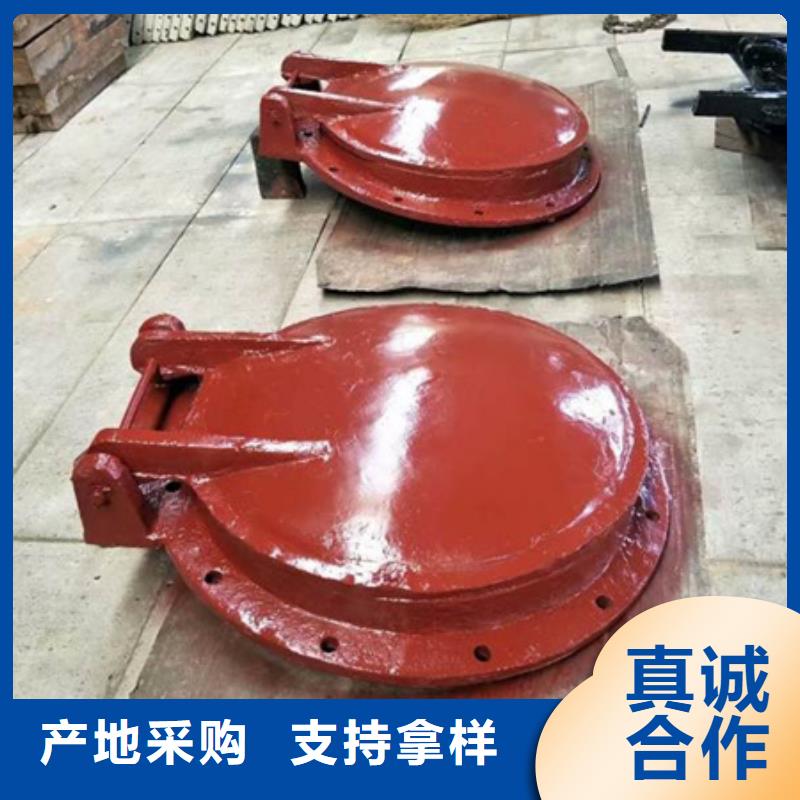 水库拍门下单即生产本地服务商