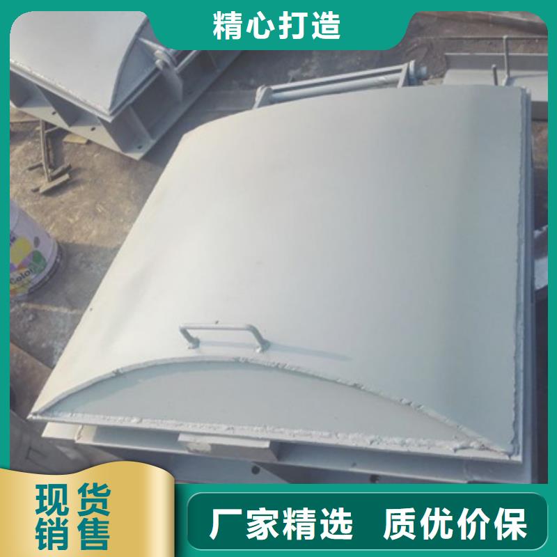 销售拍门闸门_诚信企业专业厂家