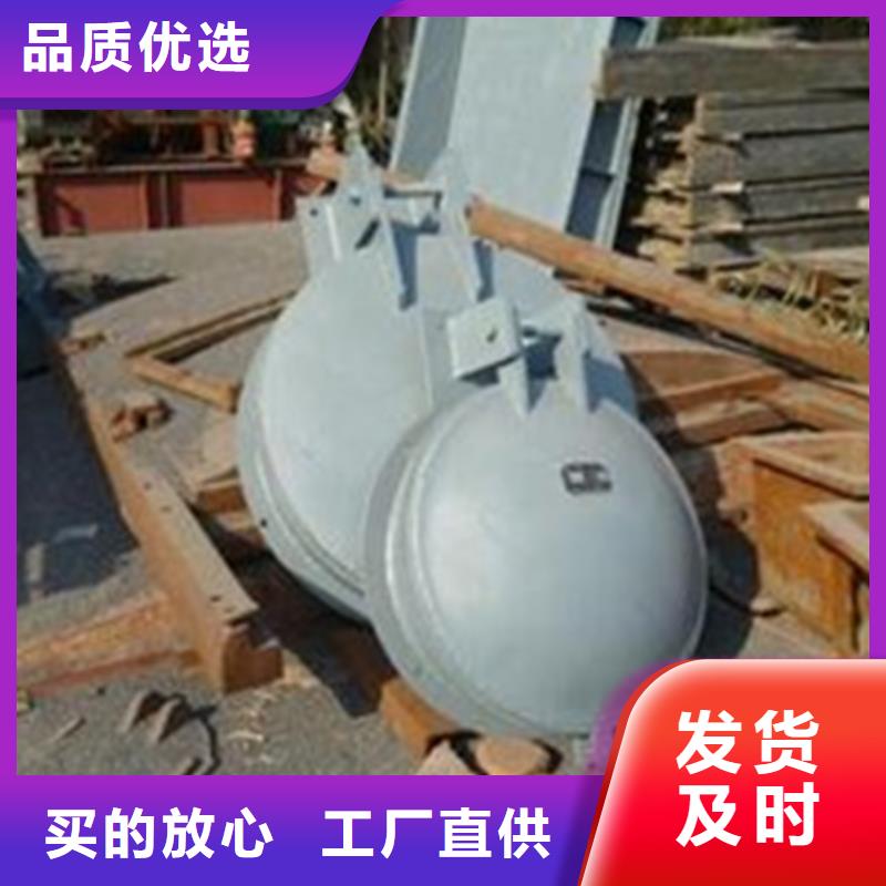 欢迎访问-节能式侧翻式拍门厂家好品质经得住考验