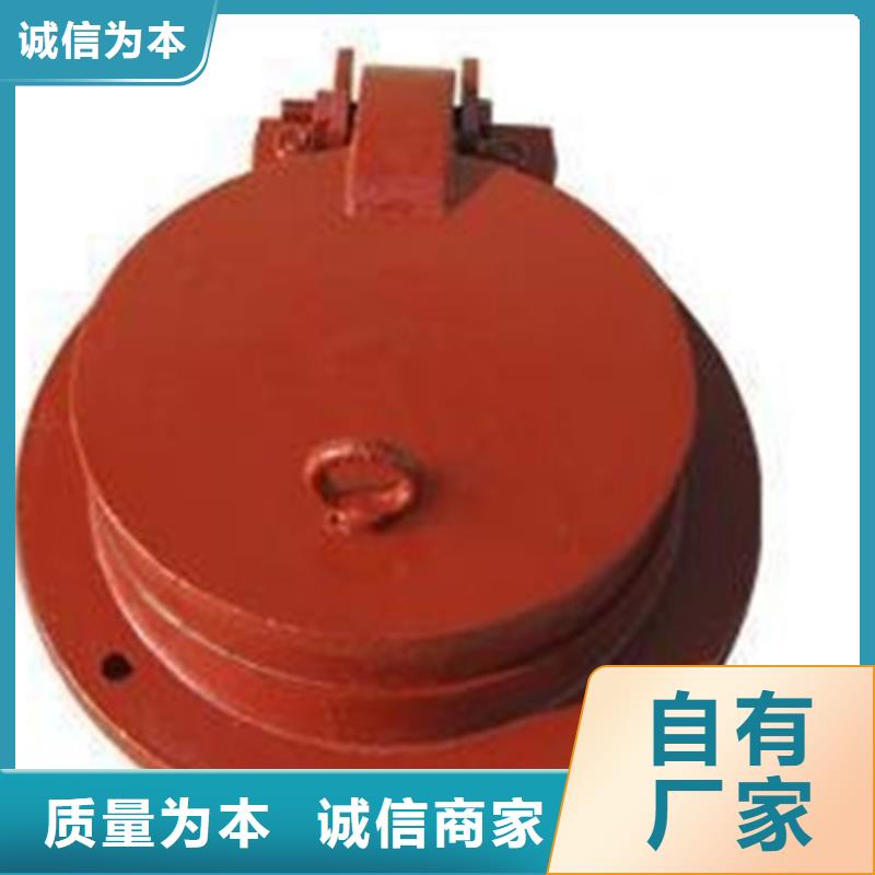 节能式侧翻式拍门大量现货随时发货行业优选