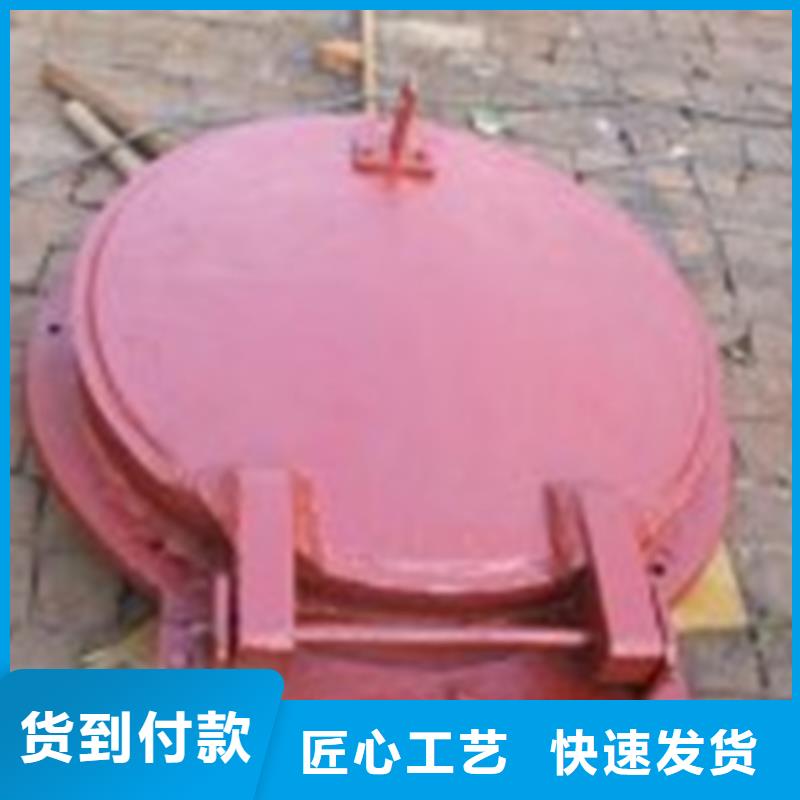长期供应侧翻式单开不锈钢拍门当地制造商