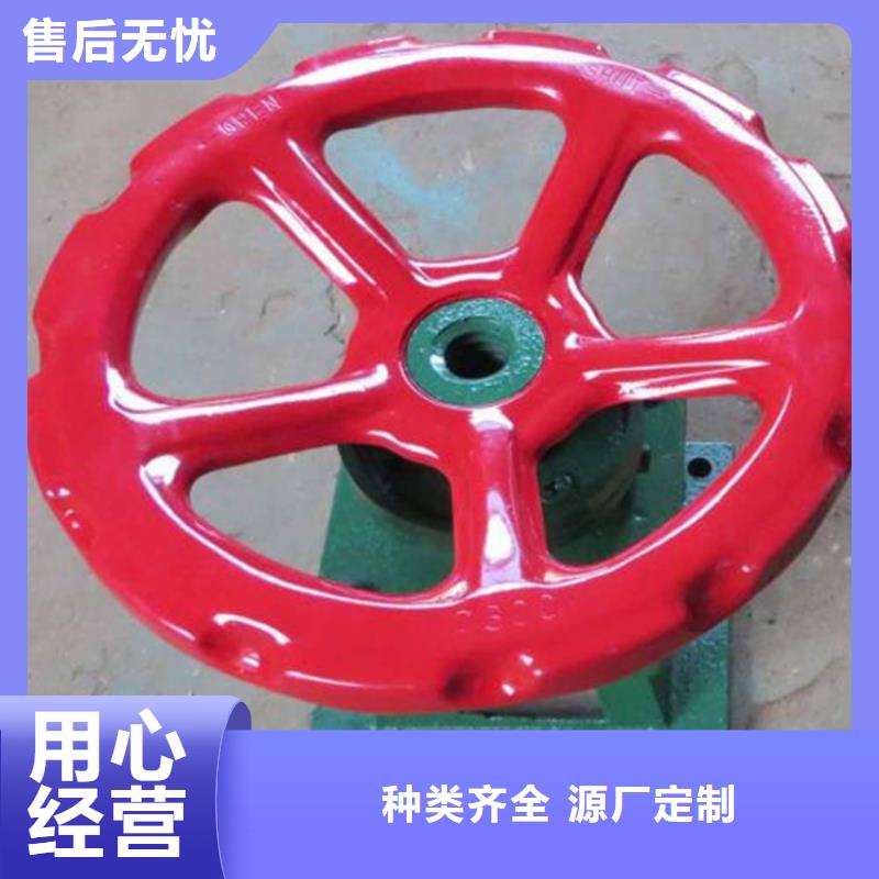​QLSD手电两用启闭机质量上乘厂家当地供应商