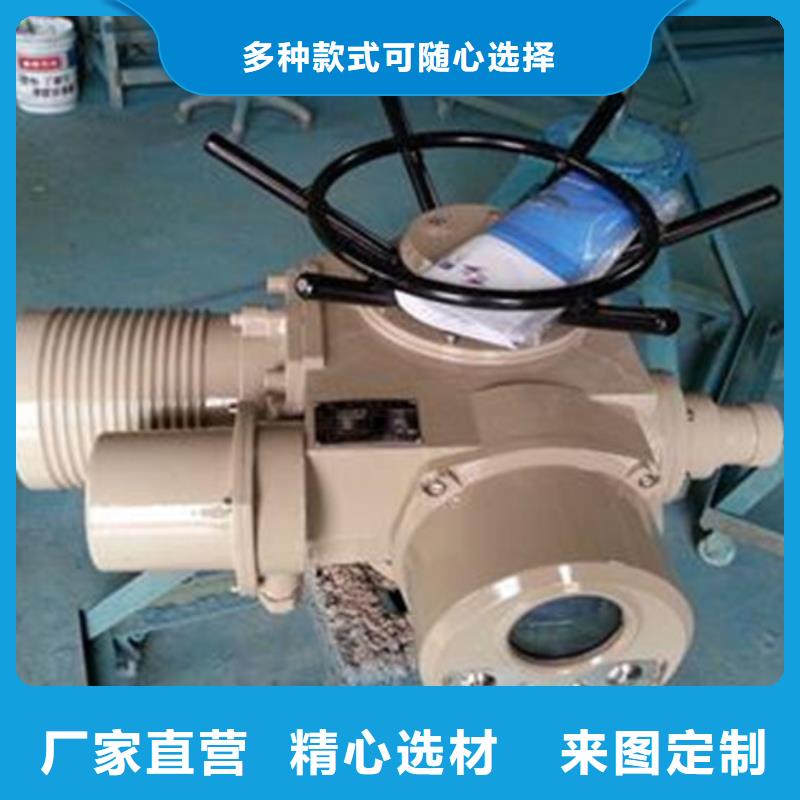 铸铁闸门启闭机销售价格本地生产商