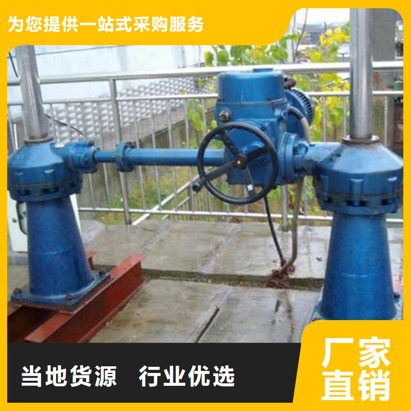 卷扬启闭机QL型手电两用双吊点启闭机快速响应同城供应商