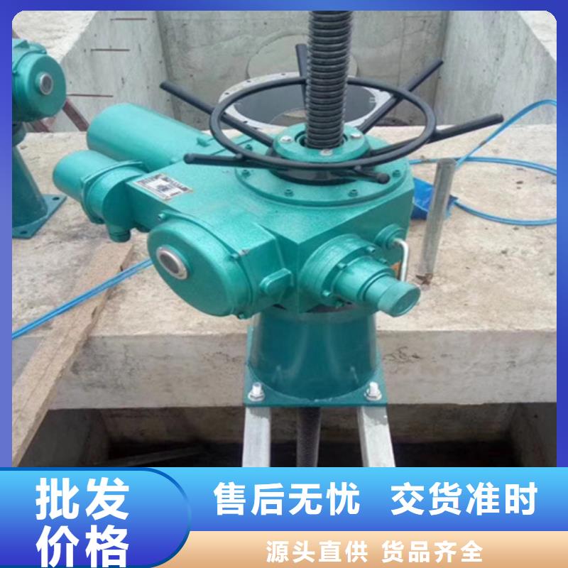 ：双吊点直连式启闭机本地厂家
