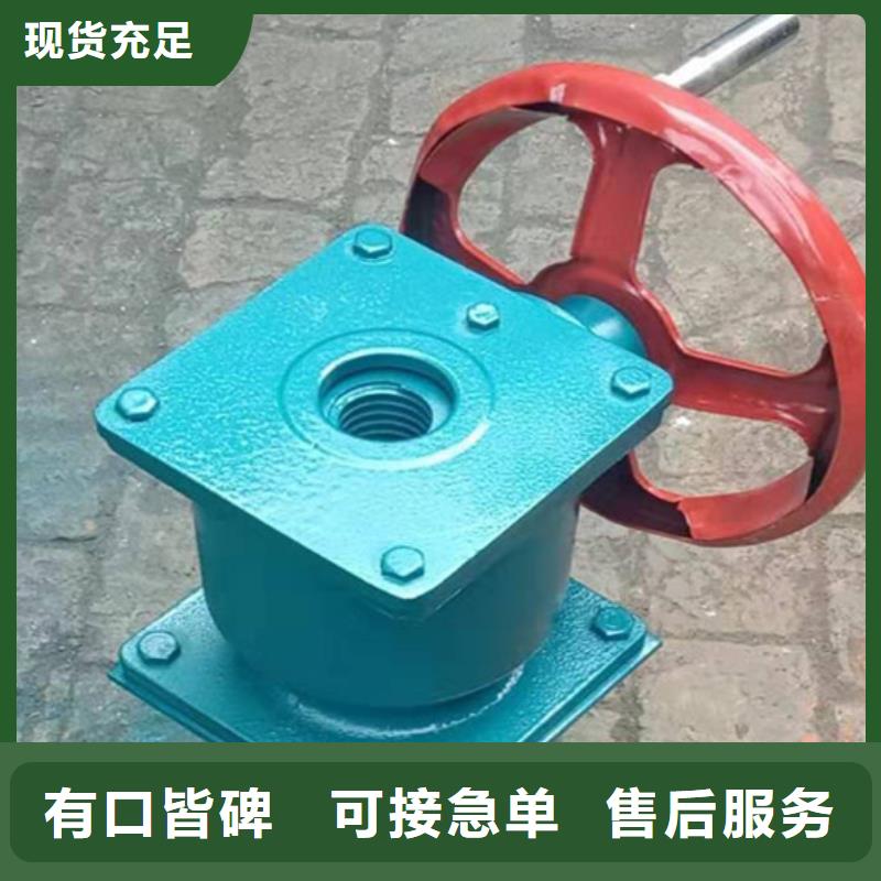 潍坊闸门与启闭机全国配送