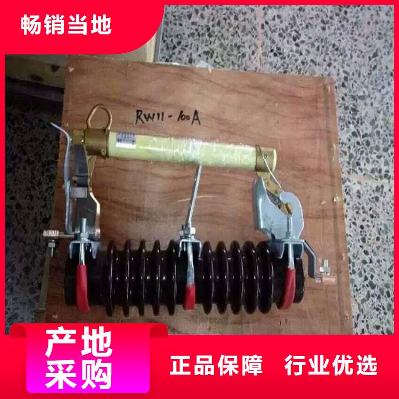 高压熔断器/RW11-10F/100A一站式采购方便省心
