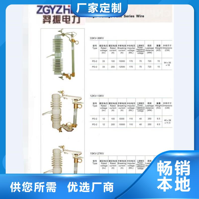 【跌落式保险】高压熔丝具RW12-15/100A厂家现货批发