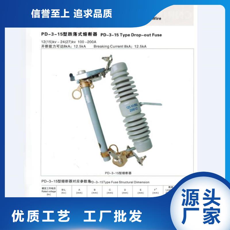 高压熔断器/RW12-24/100A同城供应商