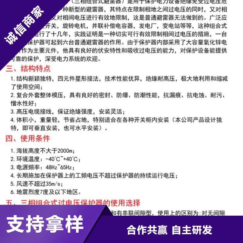 【过电压保护器】TBP-A-42/310当地生产商
