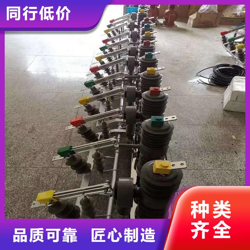 品牌：【羿振电气】/永磁真空断路器ZW32-12MG/630/供应商源头厂家经验丰富