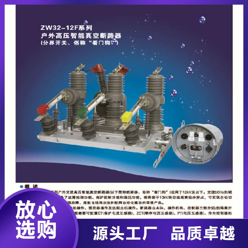 【羿振电气】ZW32-12G/T630-25KA当地服务商