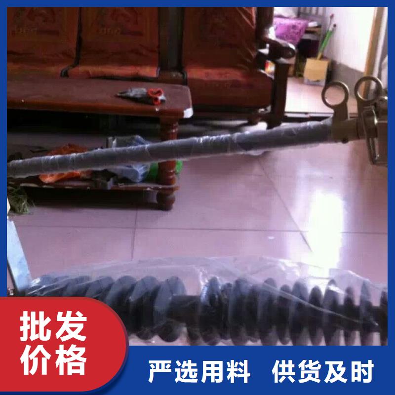 【高压熔断器】HPRW12-10/200A应用广泛