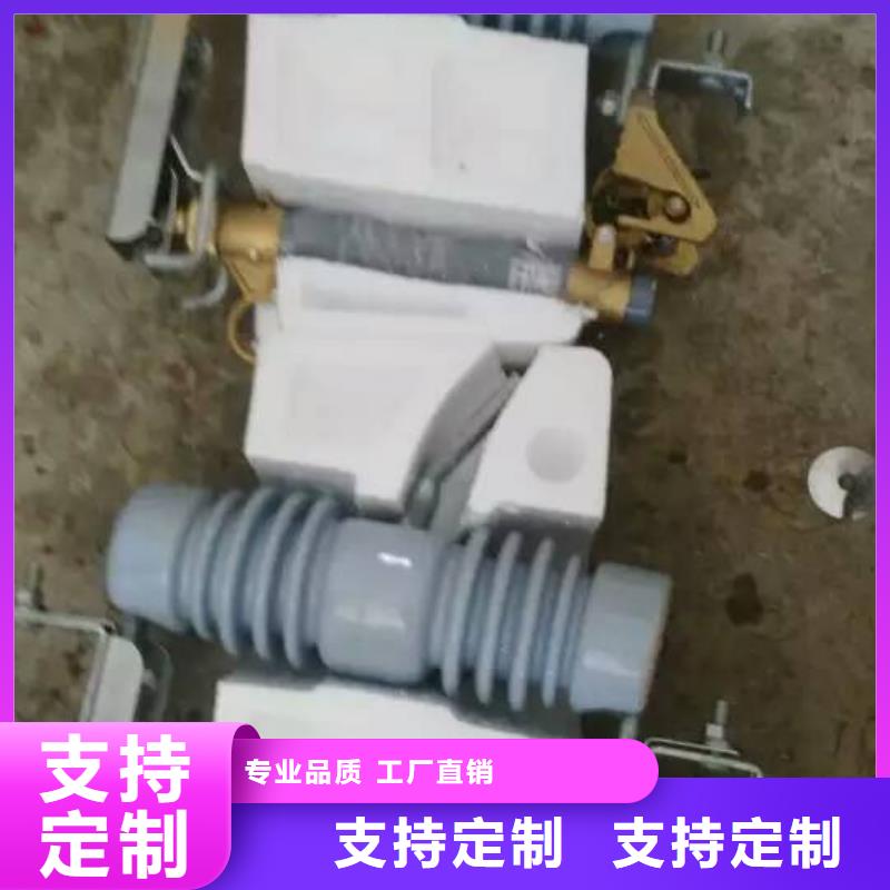 熔断器金属氧化物避雷器诚信商家服务热情一站式采购商