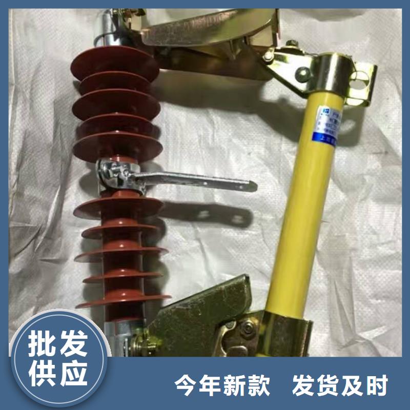 【跌落式开关】RW12-15/100A当地制造商
