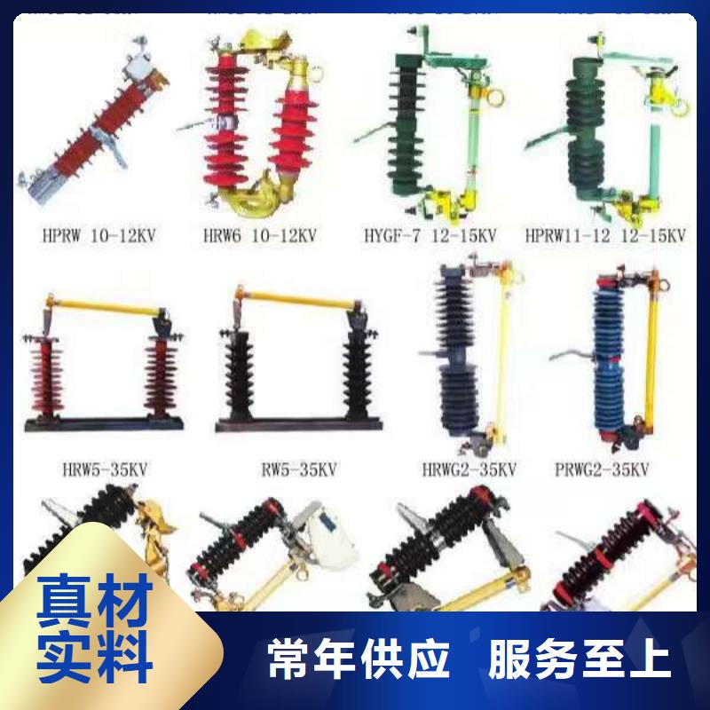 熔断器金属氧化物避雷器品质服务诚信为本当地服务商