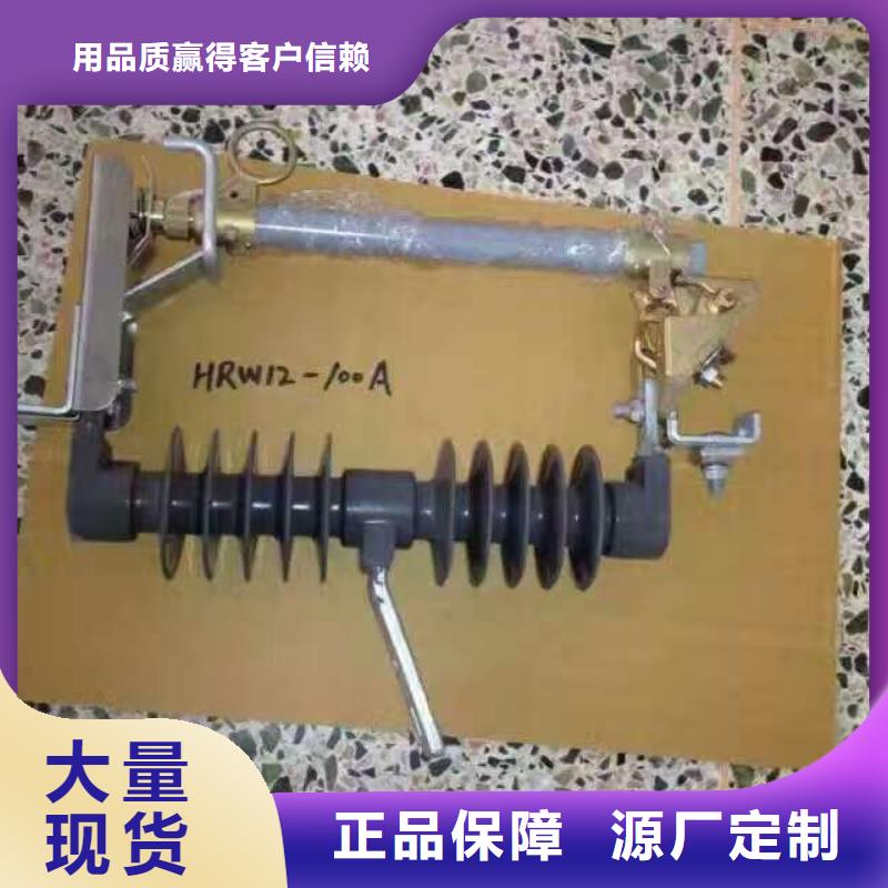 【】氧化锌避雷器Y10W5-51/125欢迎电询浙江羿振电气有限公司可定制
