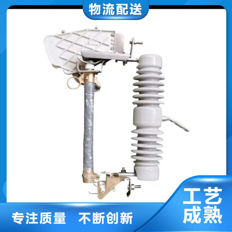 熔断器金属氧化物避雷器真正让利给买家专注生产N年