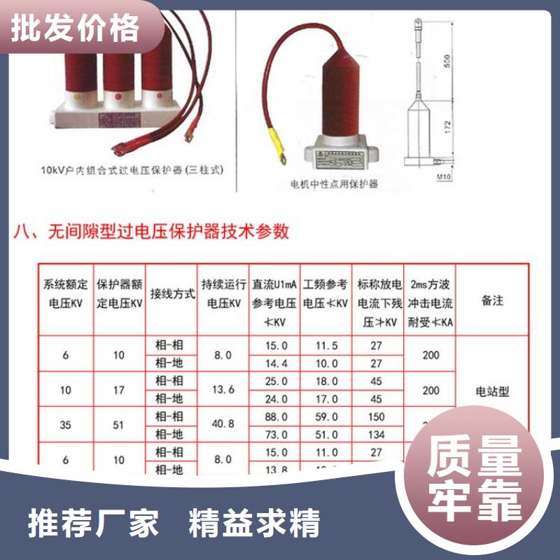 【】〖过电压保护器〗RY-GDY2-A/10组合过电压保护器厂家报价本地货源