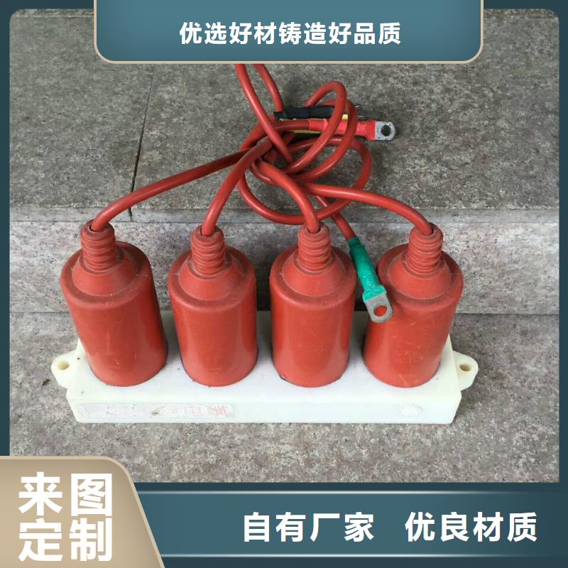 【】保护器(组合式避雷器)TGB-D-7.6/N本地制造商