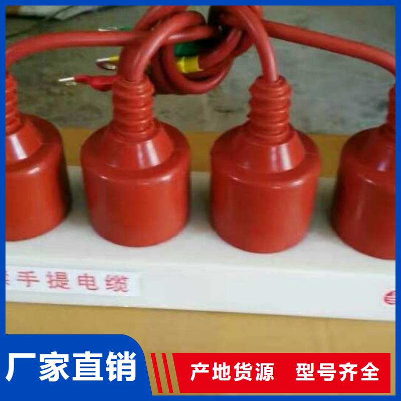 【】保护器(组合式避雷器)HBP-O-7.6诚信经营现货现发