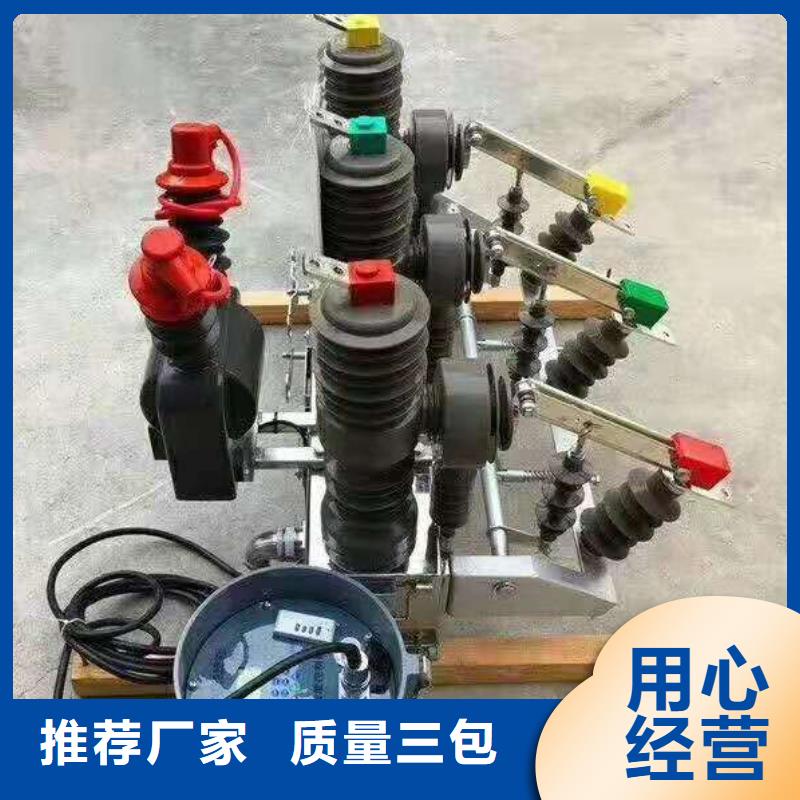 【】柱上断路器ZW32-10KV/630专注品质