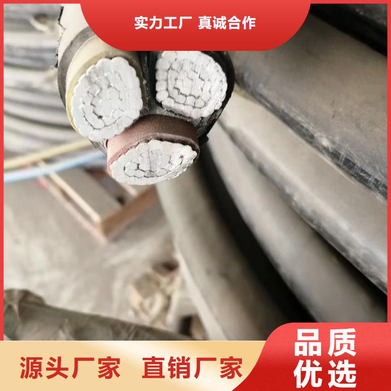 批发高低压铜铝电缆回收的厂家供您所需