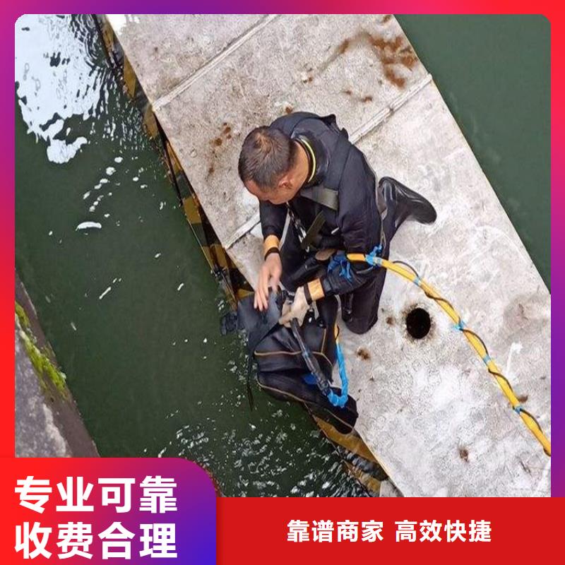 昆山市打捞队(水库堵漏水下施工/专业打捞队)