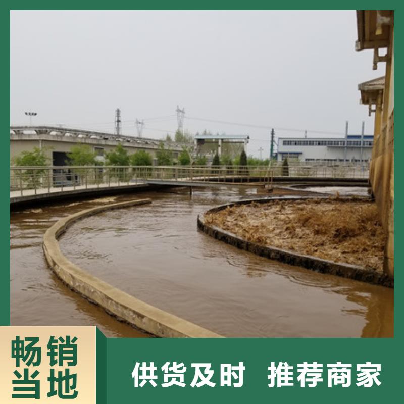 活性炭曝气池挂膜填料有口皆碑厂家规格全