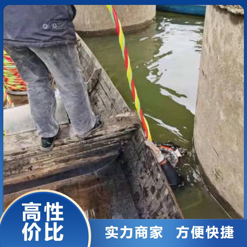 水下录像20年经验专业承接