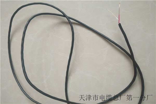 铠装广播线HYPV53批发随心所欲定制