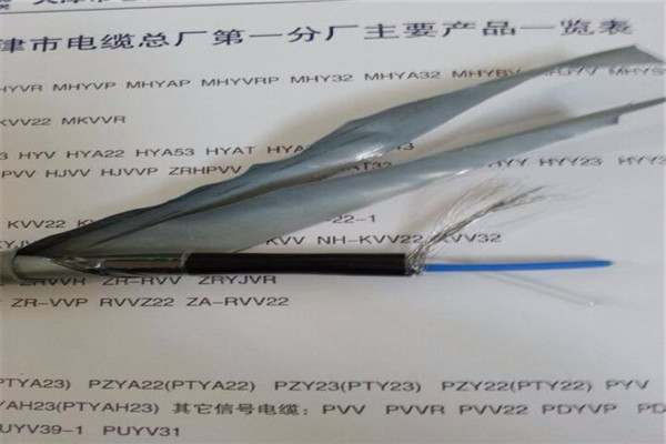 BP-YJP2VP2双屏蔽变频电缆采购3X240+120选择我们选择放心
